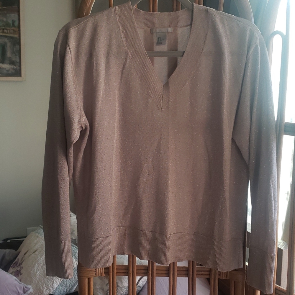 Metallic thread shimmery v neck sweater